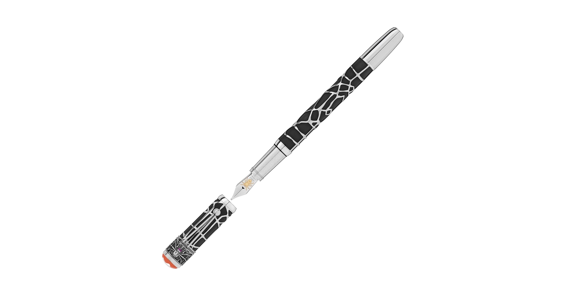 61RJlT+M9+L.jpg_BO30,255,255,